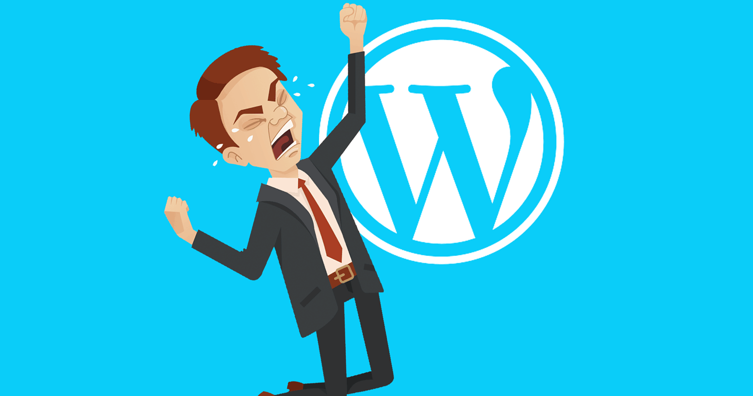 Wordpress Suspends Astra Theme Affects Million Users