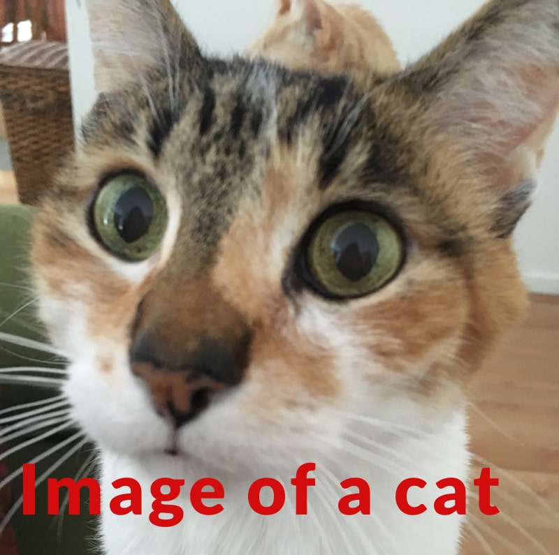 Image demonstrating how much larger image size must be to accommodate wording over a photographic image 