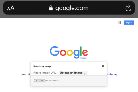 How to do a reverse image search