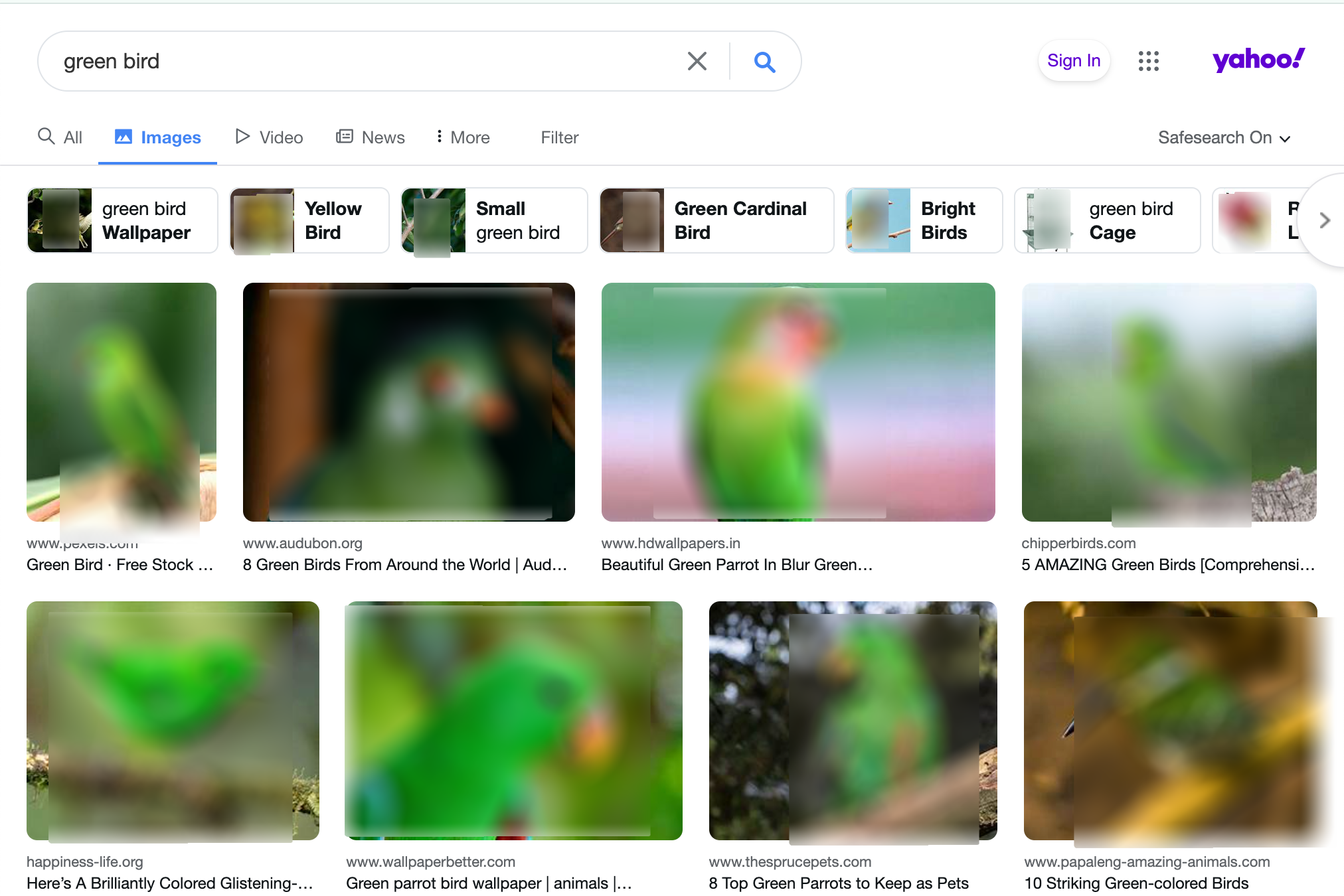 green bird image search, google