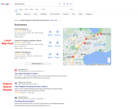Google Local Map Pack and Organic Results screenshot