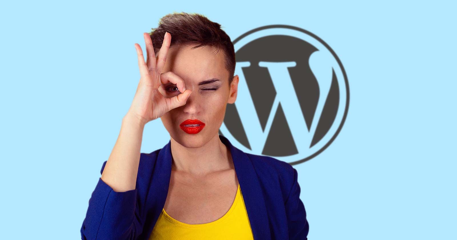 WordPress releases 6.6.1 to corrects large   flaws detected successful  mentation    6.6