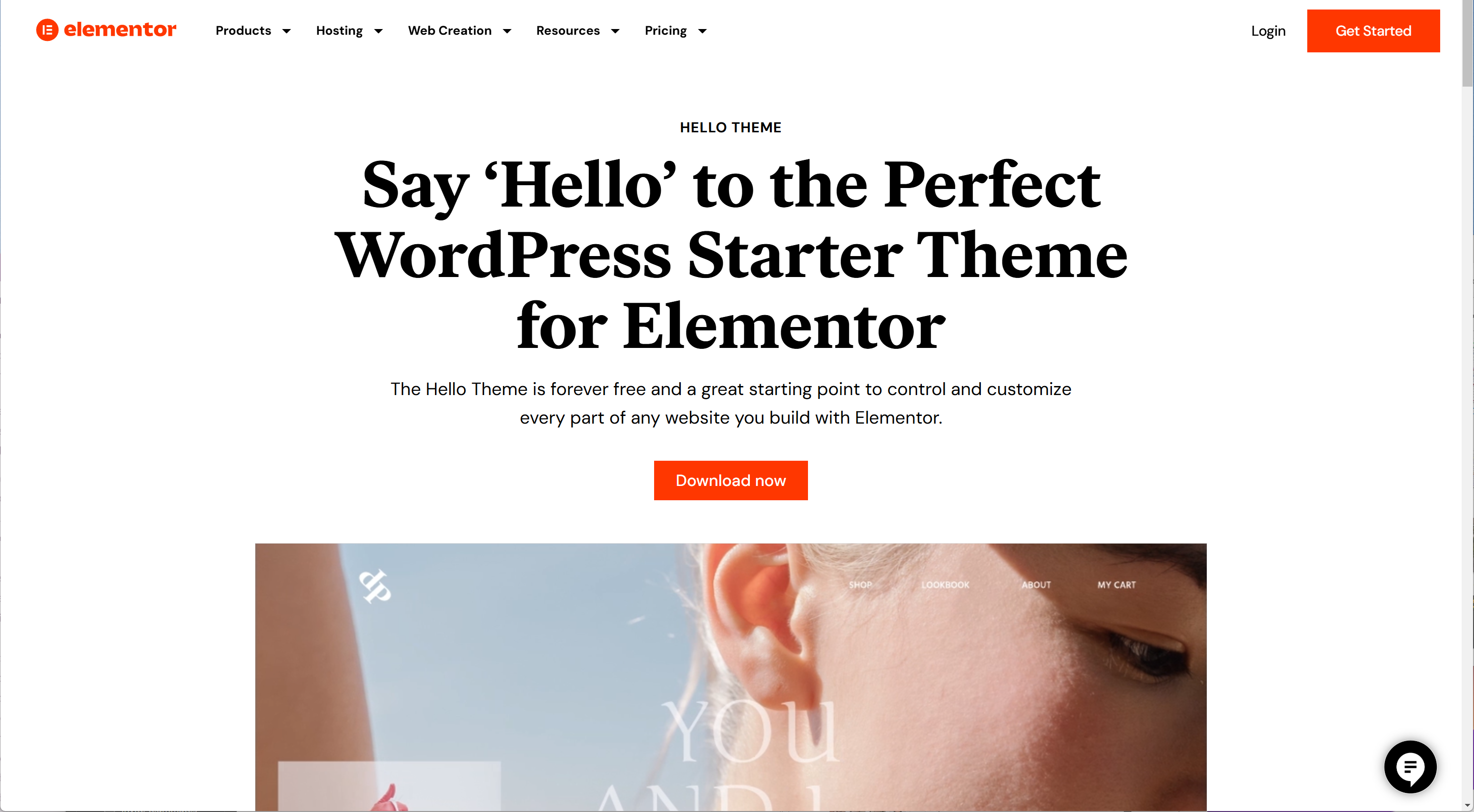 2024 11 25 7 196 - How To Choose The Best WordPress Theme For SEO