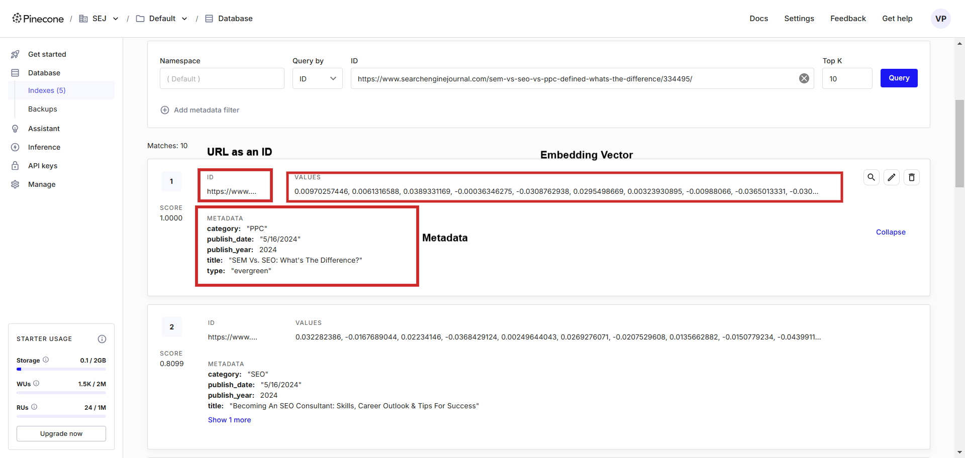 Introduction To Vector Databases And How To Use AI For SEO