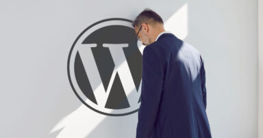 Mullenweg Says Lawsuits Could End WordPress